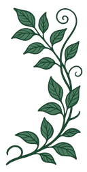 Bottom-right vine