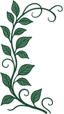 Top-left vine