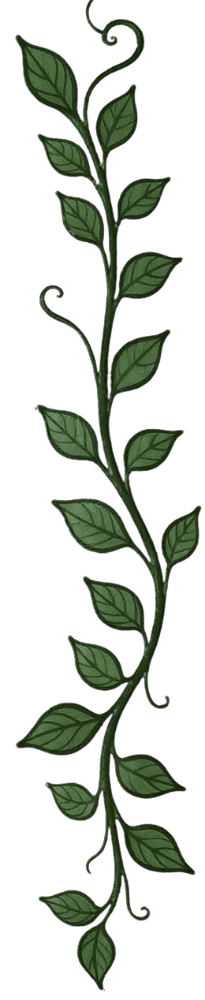 Right vine